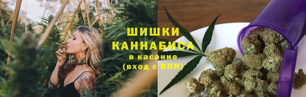 apvp Долгопрудный