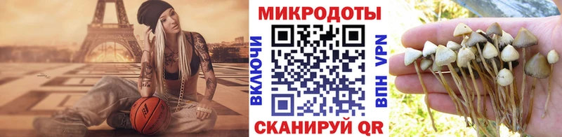 Галлюциногенные грибы Magic Shrooms  Купить закладки  Балахна 